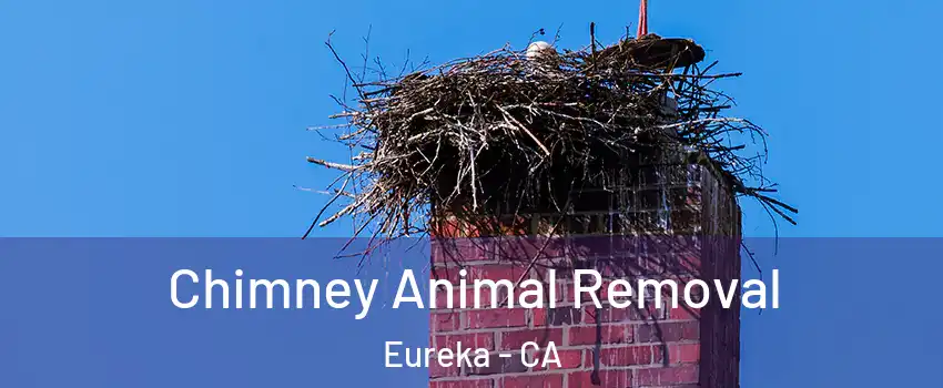 Chimney Animal Removal Eureka - CA