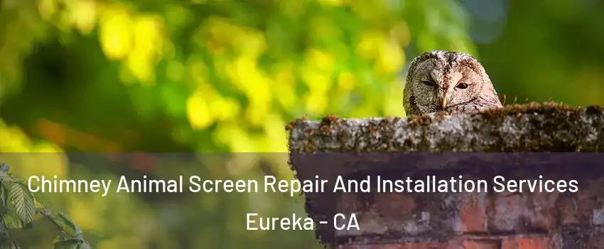  Chimney Animal Screen Repair And Installation Services Eureka - CA