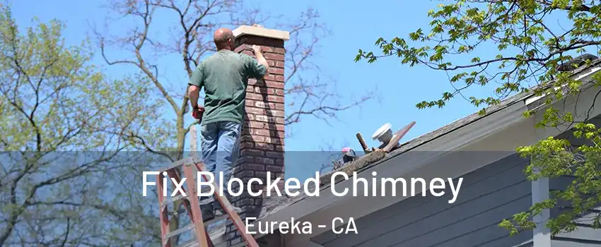  Fix Blocked Chimney Eureka - CA