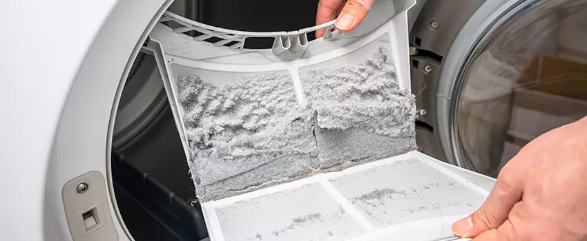 Best Dryer Lint Removal Company in Eureka, California