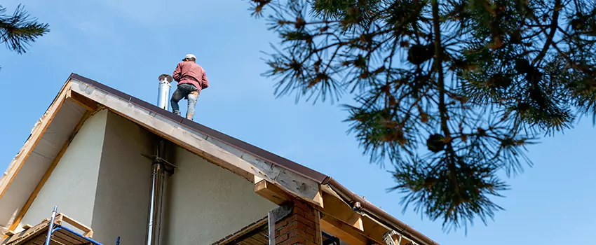 Birds Removal Contractors from Chimney in Eureka, CA