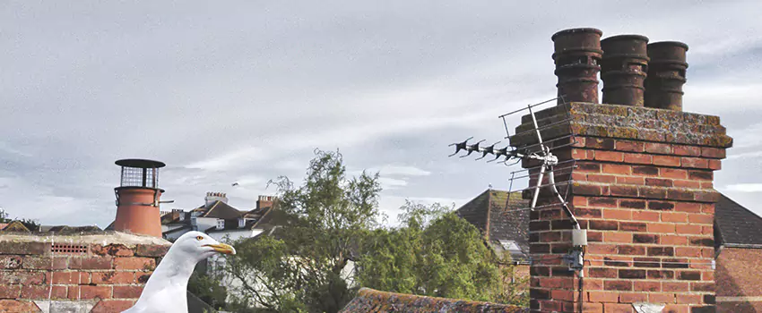 Chimney Cleaning And Restoration in Eureka, California