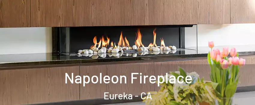  Napoleon Fireplace Eureka - CA